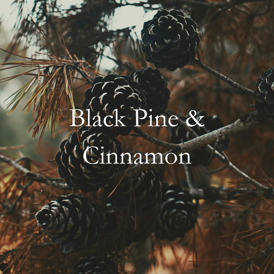 Black Pine & Cinnamon Fragrance Oil